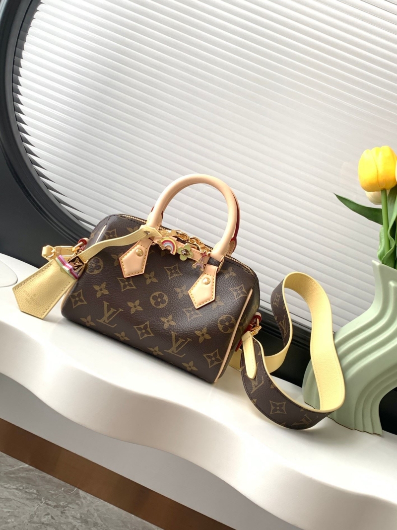 LV Speedy Bags